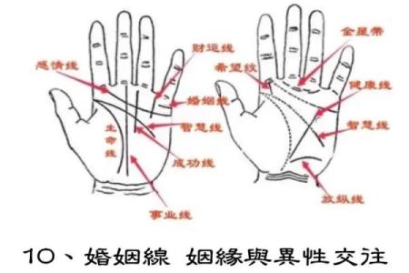 揭开手相之谜：这些手相线条注定你拥有横财命！