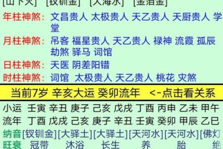 探秘命理五行：水旺命局对人生的深远影响