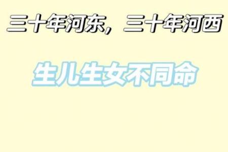 1981年出生的人命运分析与未来展望
