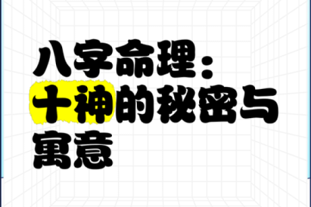看什么才能知道自己什么命：命理与人生的秘密探索