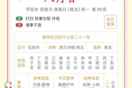 1999年卯时出生的命理解析与运势分析