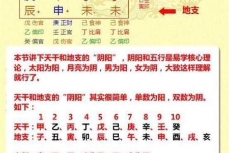 探索八字命格的奥秘：如何解读命运的密码