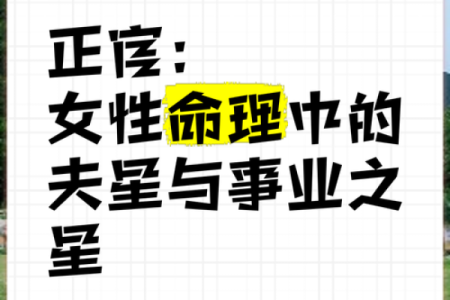 什么命格的女性事业最顺利？探讨命理与女性职场发展
