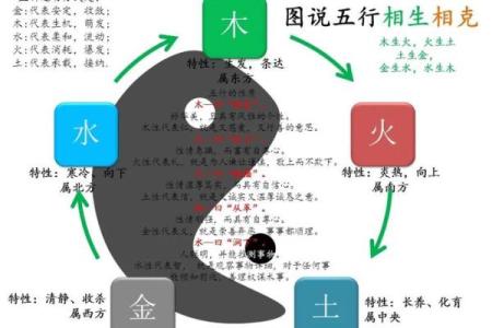 命的结构与部首探秘：字里行间的深意与奥秘