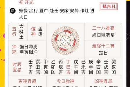 2005年属鼠的命运解析：如何把握人生的每一个机会