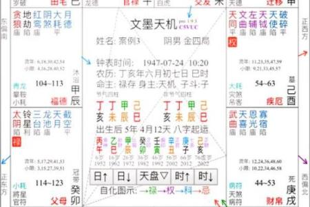 探索兔子命理：兔年出生时辰与命运的奥秘