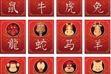 土鼠命理与最佳颜色选择：如何利用色彩提升运势！