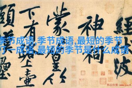 探索成语的魅力：传承智慧与文化的瑰宝