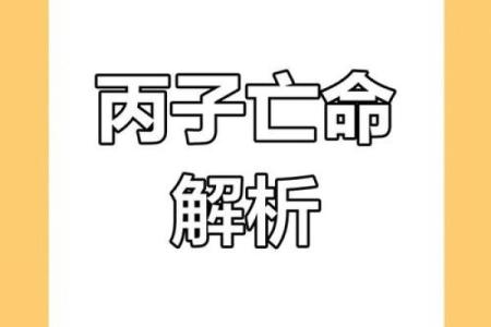 从命理看戊寅癸亥庚申丙子之命运探秘：解读五行与人生哲学