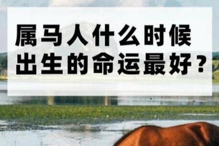 42岁属马的命运解析：揭示人生的机遇与挑战！