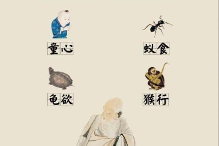 1982年出生的属狗人：解读命理与生活的智慧