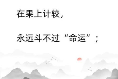 83年属女的命运与生活：如何把握自己的未来？