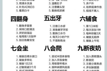 2007年出生的孩子命运解析：幸运与挑战并存的成长之路