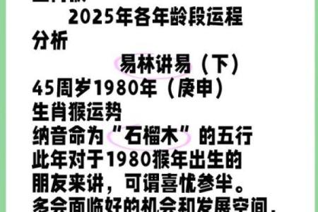 92年属猴人的命运与性格分析：探索他们的人生轨迹与发展方向