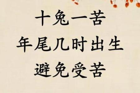 2023年兔宝宝命理分析：兔年出生的孩子缺什么，运势如何？