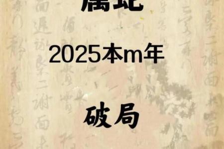 41岁的人生转折，探讨本命年与命运的秘密