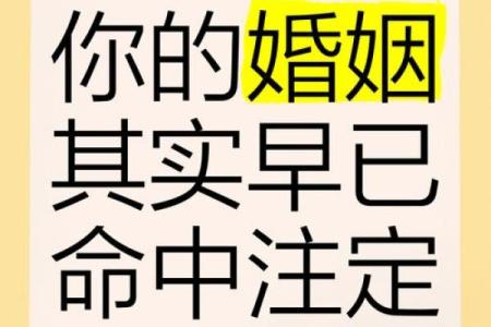 命里注定的姻缘：探索命运与爱情的交织