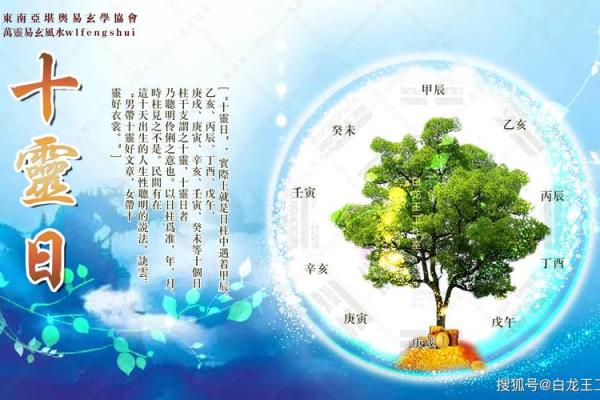 乙亥女命的性格解析与生活中的挑战与应对策略