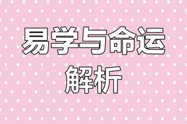 命理变革：从传统到现代的智慧探求