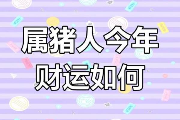 2019年生肖分析：属猪的人在命运中的机遇与挑战