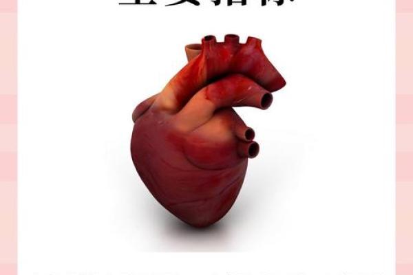 为何心脏停止跳动，生命随之消逝：探寻心脏与生命的微妙联系