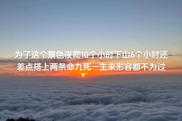 深度解析《星海零命》与《星海一命》的精彩区别与魅力
