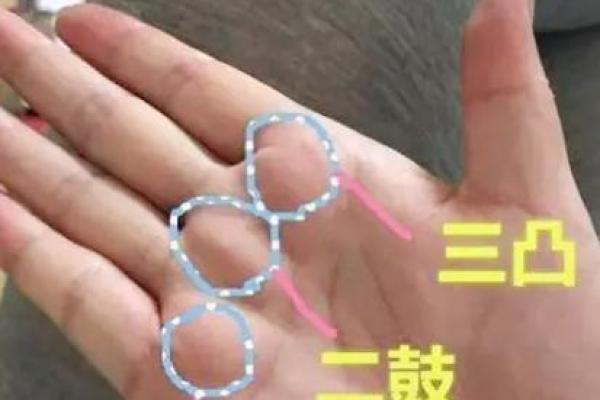 手相解密：从手掌看你的人生命运与性格解析