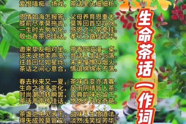 身命布施：给予生命的无限温暖与快乐分享
