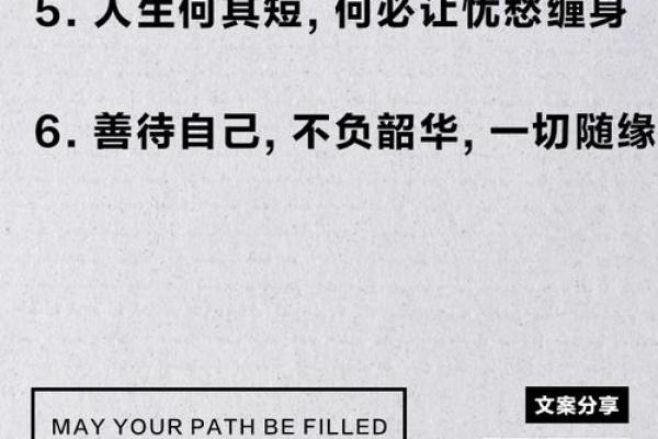 命若风轻，意在天涯：探索人生的无常与珍贵