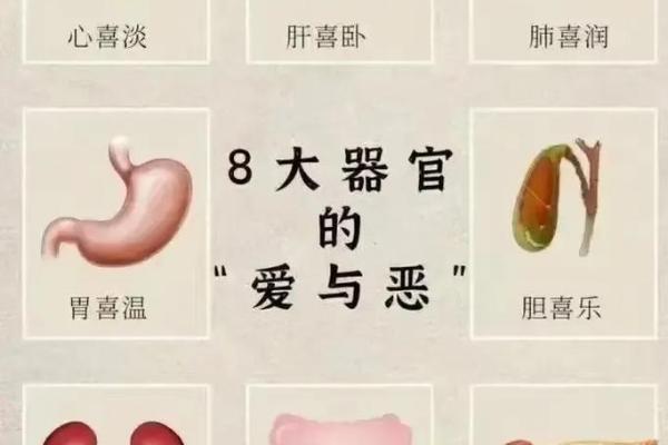 命理中的喜恶：如何理解自己与环境的和谐关系