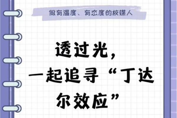 探索1981年命格：一场命运的旅程与人生的启示