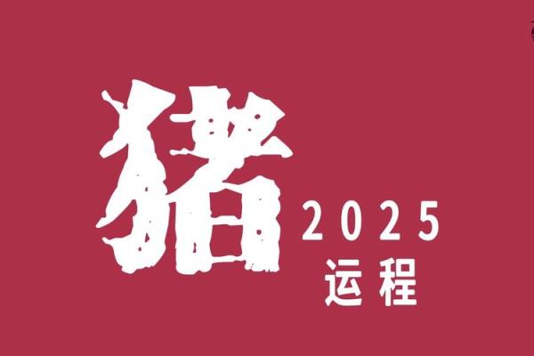 属猪人的2019年：幸运与挑战并存的命运之旅