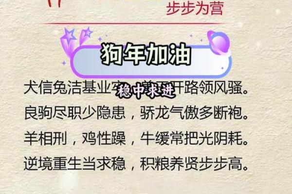 74岁属狗之人与命运：如何迎接人生的下一个篇章
