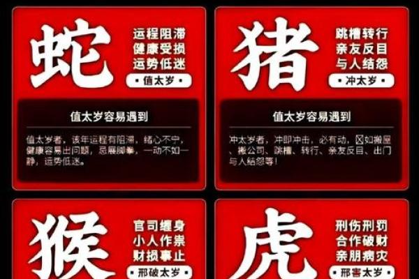 解密命挂：生肖背后的深刻含义与启示