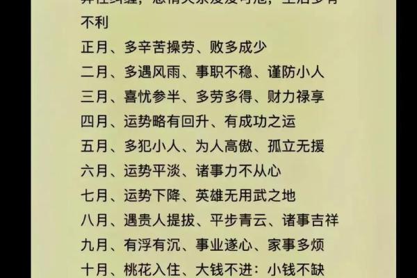 解密命挂：生肖背后的深刻含义与启示