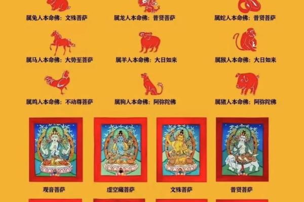 根据你属什么就是什么命，探寻国学智慧与人生的融合之道