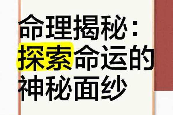 探索命理358的奥秘：如何运用数字提升你的生活质量