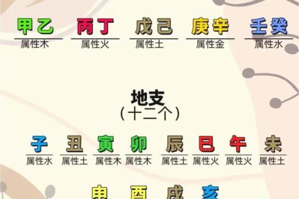 属猪与属狗的命理解析：如何相生相克，提升运势？