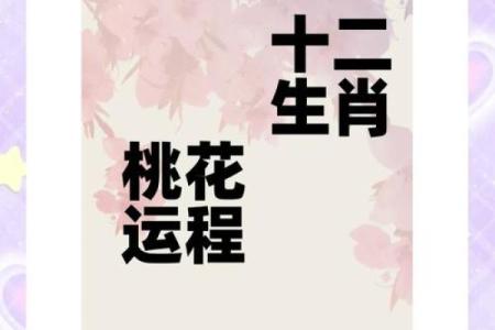 2009年属鸡人的命与运，开启精彩人生的钥匙