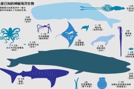 探秘海底长寿之旅：为何海洋生物能活得如此悠久？