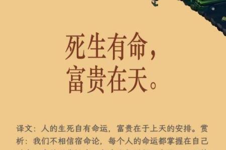 请问大家，我是什么命？探寻命理背后的秘密与智慧
