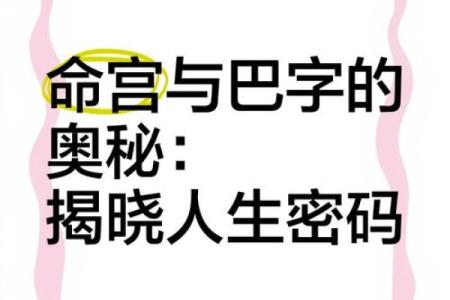 命格天罗地网：揭示命运与人生的奥秘之网