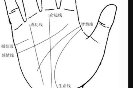 左手断掌的命运影响：解读背后的奥秘与科学解释