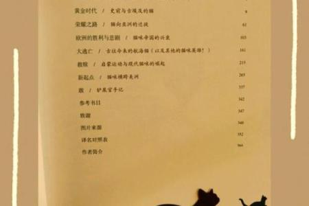 探索猫的神秘：为什么猫有9条命，人却只有1条？