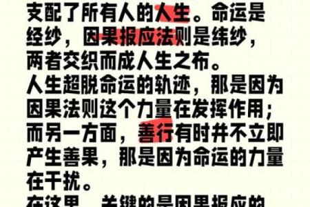 工夫命：探索命运与努力的结合之道