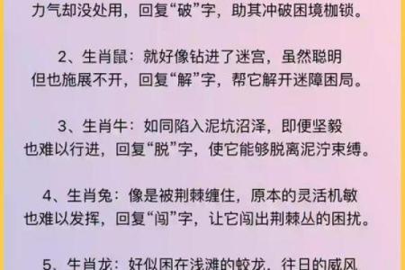 探秘生肖中的“圣命”含义：揭示与命运的奇妙联系