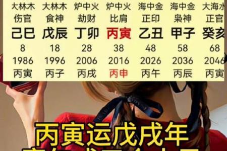 炉中火与命理：最佳搭配与人生启示