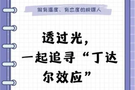 探索1981年命格：一场命运的旅程与人生的启示