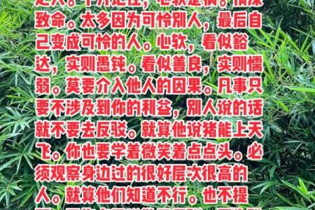 深入探讨乙亥年出生之人的命运特征与人生轨迹
