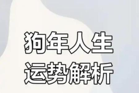 74岁属狗之人与命运：如何迎接人生的下一个篇章